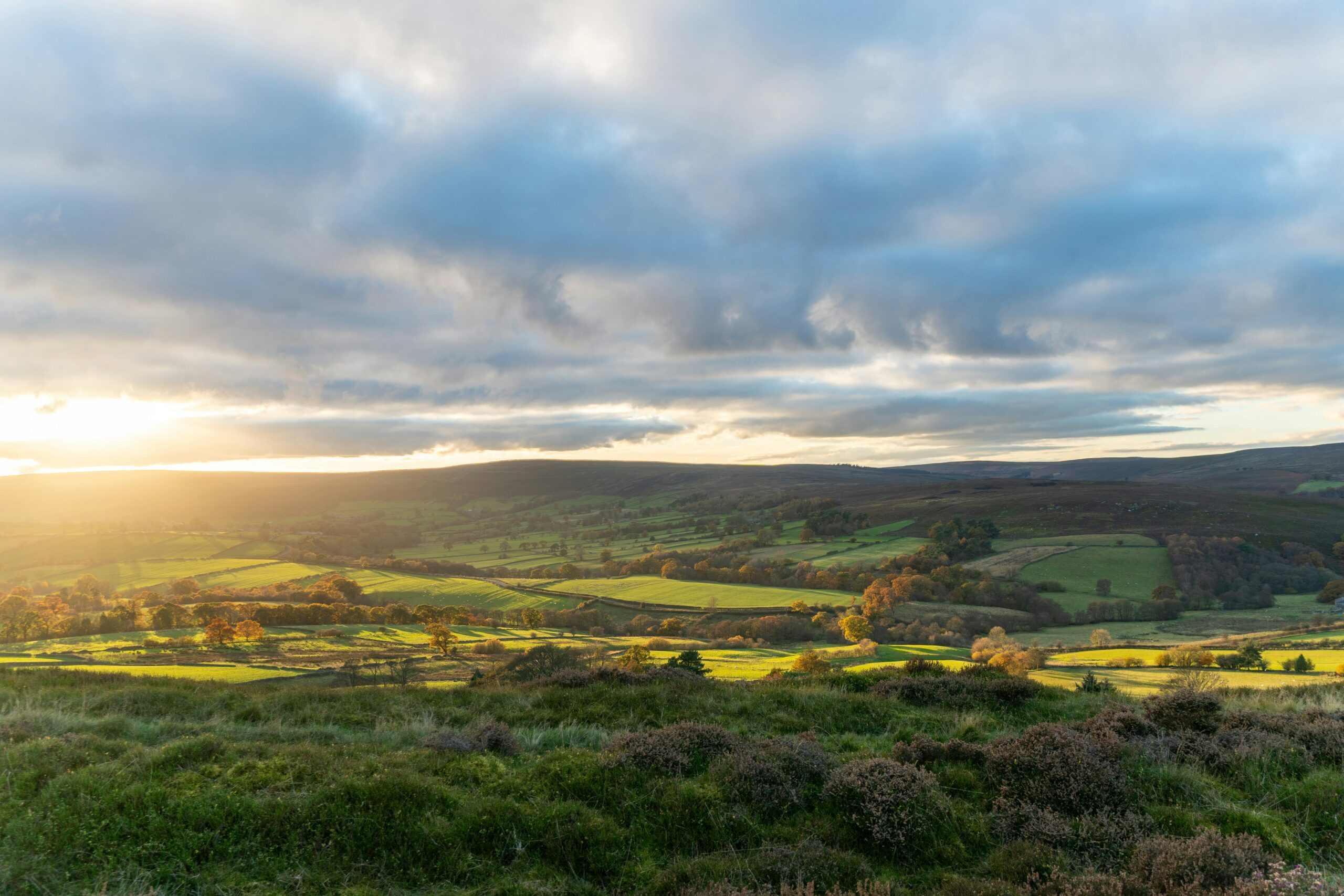 Image of Halifax landscape